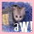 Dieren Icon plaatjes Katten en poezen 