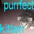 Dieren Icon plaatjes Katten en poezen 