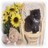 Dieren Icon plaatjes Katten en poezen 