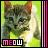 Dieren Icon plaatjes Katten en poezen Katje Meow