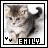 Dieren Icon plaatjes Katten en poezen 