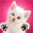 Dieren Icon plaatjes Katten en poezen 