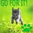 Dieren Icon plaatjes Katten en poezen 