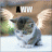 Dieren Icon plaatjes Katten en poezen 