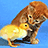 Dieren Icon plaatjes Katten en poezen 