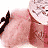Dieren Icon plaatjes Katten en poezen 