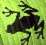 Dieren Kikkers Icon plaatjes 