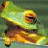 Dieren Kikkers Icon plaatjes 