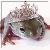 Dieren Kikkers Icon plaatjes 
