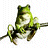 Dieren Kikkers Icon plaatjes 