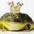 Dieren Kikkers Icon plaatjes 