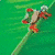Dieren Kikkers Icon plaatjes 