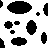 Dieren Icon plaatjes Koe 