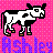 Dieren Icon plaatjes Koe Ashley Koe