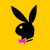 Dieren Konijnen Icon plaatjes 