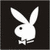Dieren Konijnen Icon plaatjes 
