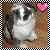 Dieren Konijnen Icon plaatjes 