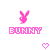 Dieren Konijnen Icon plaatjes 