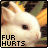 Dieren Konijnen Icon plaatjes Konijn
