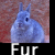 Dieren Konijnen Icon plaatjes 