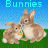 Dieren Konijnen Icon plaatjes 