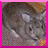 Dieren Konijnen Icon plaatjes 