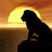 Dieren Leeuwen Icon plaatjes 