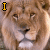 Dieren Leeuwen Icon plaatjes 