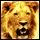Dieren Leeuwen Icon plaatjes Grommende Leeuw