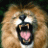 Dieren Leeuwen Icon plaatjes 