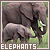 Dieren Icon plaatjes Olifant 