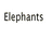 Dieren Icon plaatjes Olifant 