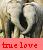 Dieren Icon plaatjes Olifant 