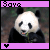 Dieren Panda Icon plaatjes 