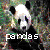 Dieren Panda Icon plaatjes 