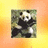 Dieren Panda Icon plaatjes 