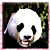 Dieren Panda Icon plaatjes 