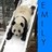 Dieren Panda Icon plaatjes 