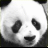 Dieren Panda Icon plaatjes 