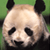 Dieren Panda Icon plaatjes 