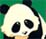 Dieren Panda Icon plaatjes Pandabeer Lief