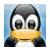 Dieren Pinguins Icon plaatjes 