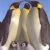 Dieren Pinguins Icon plaatjes 