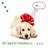 Dieren Puppy Icon plaatjes 