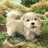 Dieren Puppy Icon plaatjes 