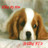 Dieren Puppy Icon plaatjes 