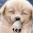 Dieren Puppy Icon plaatjes 