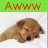 Dieren Puppy Icon plaatjes 