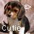 Dieren Puppy Icon plaatjes 