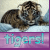 Dieren Tijgers Icon plaatjes 